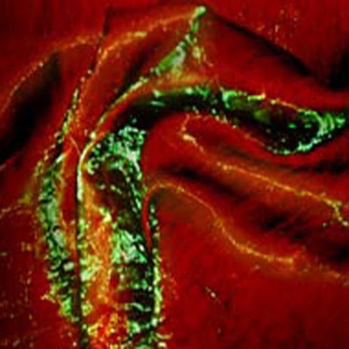 Crush Red Green